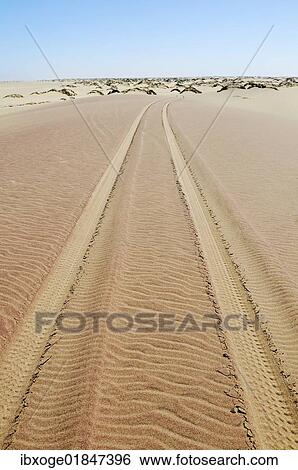 "Tire tracks in the sand, Namib Naukluft National Park, part of the Namibian Skeleton Coast National Park, Skeleton Coast, Namib Desert, Namibia, Africa" View Large Photo Image Stock Photograph - "Tire tracks in the sand, Namib Naukluft National Park, part of the Namibian Skeleton Coast National Park, Skeleton Coast, Namib Desert, Namibia, Africa". Fotosearch
