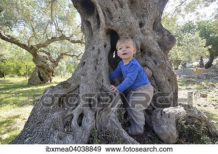 "Toddler playing in an olive grove, Port de Soller, Majorca, Balearic Islands, Spain, Europe" View Large Photo Image Stock Photo - "Toddler playing in an olive grove, Port de Soller, Majorca, Balearic Islands, Spain, Europe". Fotosearch