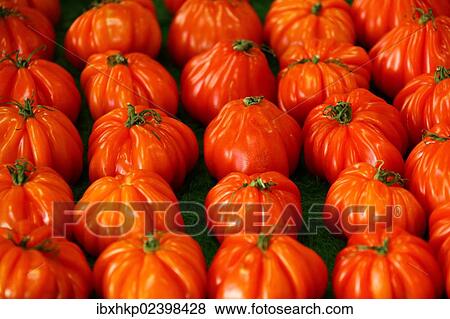 "Tomatoes on a market, French Riviera, France, Europe" View Large Photo Image Stock Photo - "Tomatoes on a market, French Riviera, France, Europe". Fotosearch
