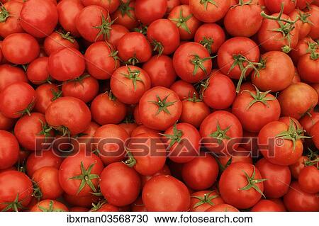 Stock Image - "Tomatoes on a market stall, weekly farmer's market, Mugla, Mugla Province, Aegean region, Turkey, Asia". Fotosearch
