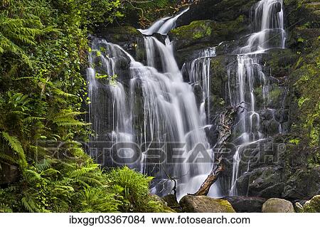 "Torc Waterfall, Killarney National Park, Killarney, County Kerry, Ireland, Europe" View Large Photo Image Picture - "Torc Waterfall, Killarney National Park, Killarney, County Kerry, Ireland, Europe". Fotosearch