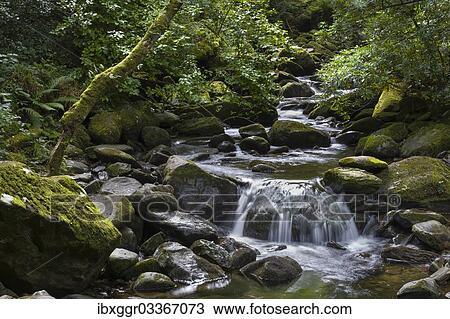 "Torc Waterfall, Killarney National Park, Killarney, County Kerry, Ireland, Europe" View Large Photo Image Stock Image - "Torc Waterfall, Killarney National Park, Killarney, County Kerry, Ireland, Europe". Fotosearch