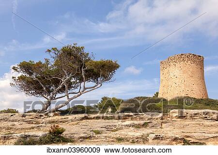 "Torre de Cala Pi, medieval watchtower on the coast, Cala Pi, Majorca, Balearic Islands, Spain, Europe" View Large Photo Image Stock Photo - "Torre de Cala Pi, medieval watchtower on the coast, Cala Pi, Majorca, Balearic Islands, Spain, Europe". Fotosearch