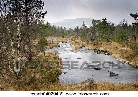 Stock Photo - "Torrent, Rogaland, Norway, Europe". Fotosearch