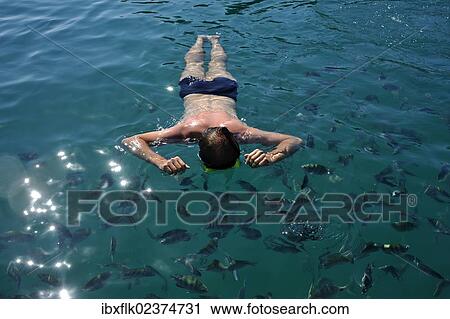 "Tourist snorkeling in the turquoise sea surrounded by fish, Bay of Paraty or Parati, State of Rio de Janeiro, Brazil, South America" View Large Photo Image Stock Image - "Tourist snorkeling in the turquoise sea surrounded by fish, Bay of Paraty or Parati, State of Rio de Janeiro, Brazil, South America". Fotosearch