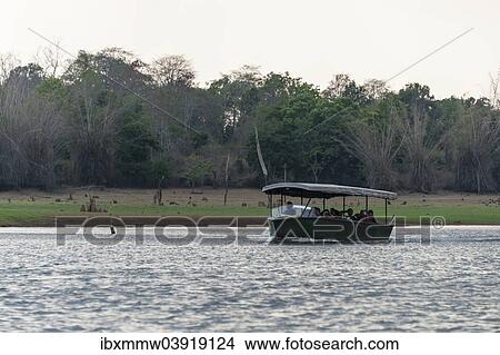 "Tourists in safari boat on Kabini Reservoir, Nagarhole National Park, Karnataka, India, Asia" View Large Photo Image Picture - "Tourists in safari boat on Kabini Reservoir, Nagarhole National Park, Karnataka, India, Asia". Fotosearch