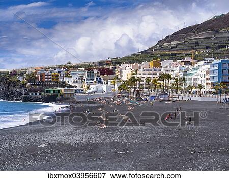 "Tourists on the black beach of Puerto Naos, La Palma, Canary Islands, Spain, Europe" View Large Photo Image Stock Photo - "Tourists on the black beach of Puerto Naos, La Palma, Canary Islands, Spain, Europe". Fotosearch