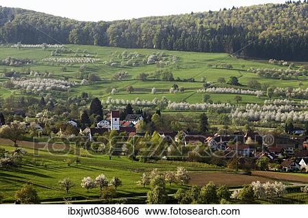 "Townscape, during the cherry blossom season, Obereggenen, Markgraflerland, Black Forest, Baden-Wurttemberg, Germany, Europe" View Large Photo Image Stock Photograph - "Townscape, during the cherry blossom season, Obereggenen, Markgraflerland, Black Forest, Baden-Wurttemberg, Germany, Europe". Fotosearch