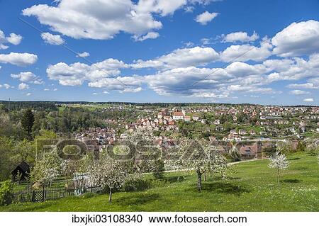 "Townscape, historical old town, Altensteig, Nordschwarzwald, Schwarzwald, Baden-Wurttemberg, Germany, Europe" View Large Photo Image Stock Image - "Townscape, historical old town, Altensteig, Nordschwarzwald, Schwarzwald, Baden-Wurttemberg, Germany, Europe". Fotosearch