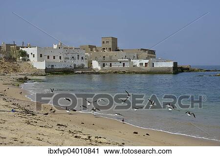 "Townscape, Mirbat, Dhofar Region, Orient, Oman, Asia" View Large Photo Image Stock Image - "Townscape, Mirbat, Dhofar Region, Orient, Oman, Asia". Fotosearch