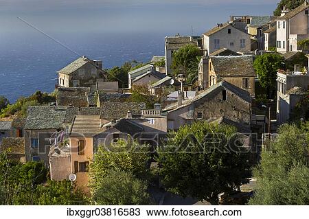 "Townscape of Canari, Cap Corse, Haute-Corse, Corsica, France, Europe" View Large Photo Image Stock Image - "Townscape of Canari, Cap Corse, Haute-Corse, Corsica, France, Europe". Fotosearch