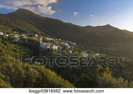 Stock Image - "Townscape of Pino, Cap Corse, Haute-Corse, Corsica, France, Europe". Fotosearch
