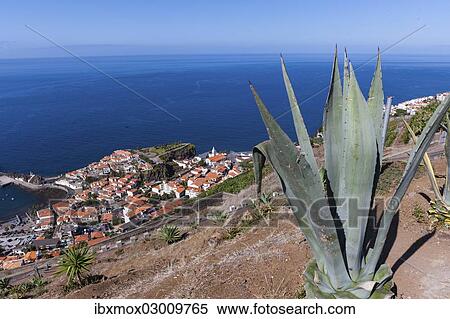 Stock Photography - "Townscape of Porto de Camara de Lobos, Funchal, Porto de Camara de Lobos, Ilha da Madeira, Portugal, Europe". Fotosearch