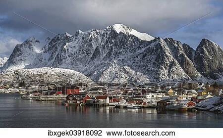 "Townscape of Reine, Reine Fjord, Moskenesoya, Lofoten archipelago, Norway, Europe" View Large Photo Image Stock Image - "Townscape of Reine, Reine Fjord, Moskenesoya, Lofoten archipelago, Norway, Europe". Fotosearch