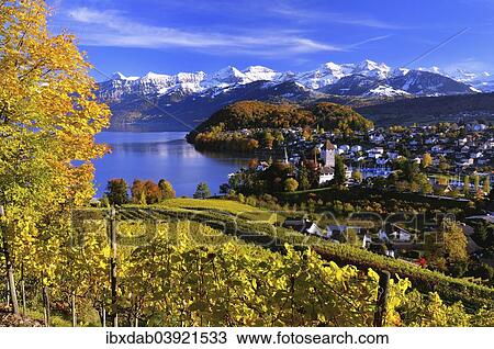 "Townscape of Spiez on Lake Thun with the snow-covered Bernese Alps, Canton of Bern, Switzerland, Europe" View Large Photo Image Stock Image - "Townscape of Spiez on Lake Thun with the snow-covered Bernese Alps, Canton of Bern, Switzerland, Europe". Fotosearch