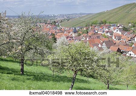 "Townscape, Strumpfelbach, Weinstadt, Baden-Wurttemberg, Germany, Europe" View Large Photo Image Stock Photo - "Townscape, Strumpfelbach, Weinstadt, Baden-Wurttemberg, Germany, Europe". Fotosearch