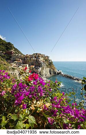 "Townscape, UNESCO World Heritage Site, Manarola, Cinque Terre, Liguria, Italy, Europe" View Large Photo Image Stock Photography - "Townscape, UNESCO World Heritage Site, Manarola, Cinque Terre, Liguria, Italy, Europe". Fotosearch