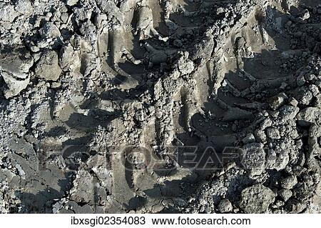 "Tracks of an excavator in sandy soil at a construction site in Fridolfing, Bavaria, Germany, Europe" View Large Photo Image Stock Image - "Tracks of an excavator in sandy soil at a construction site in Fridolfing, Bavaria, Germany, Europe". Fotosearch