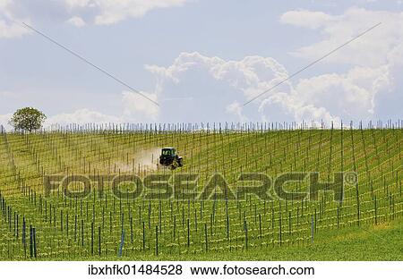 Stock Photo - "Tractor in the vineyard, Burgenland, Austria, Europe". Fotosearch