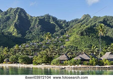 "Traditional buildings on a hill, Moorea, French Polynesia, Oceania" View Large Photo Image Picture - "Traditional buildings on a hill, Moorea, French Polynesia, Oceania". Fotosearch