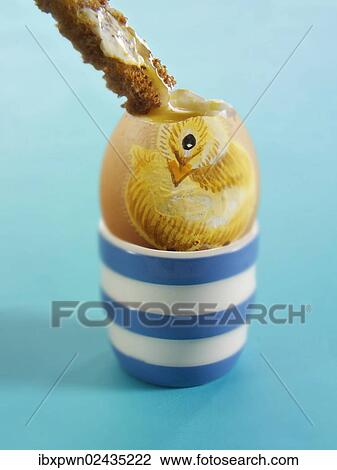 "Traditional Easter Egg, painted with a chick" View Large Photo Image Stock Image - "Traditional Easter Egg, painted with a chick". Fotosearch