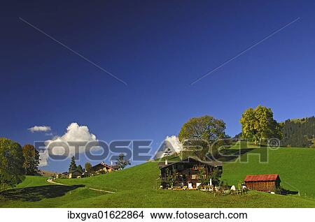 "Traditional farm near Gstaad in autumn, Bernese Oberland, Switzerland, Europe" View Large Photo Image Picture - "Traditional farm near Gstaad in autumn, Bernese Oberland, Switzerland, Europe". Fotosearch