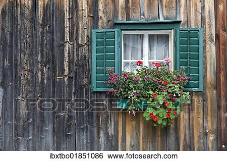 "Traditional wooden house, alpine cabin with green window frames and geraniums, Salzkammergut, Austria, Europe" View Large Photo Image Stock Photograph - "Traditional wooden house, alpine cabin with green window frames and geraniums, Salzkammergut, Austria, Europe". Fotosearch