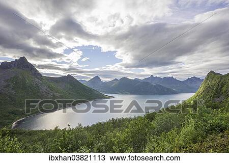 "Traelvika Fjord, Senja Island, Husoy, Troms, Norway, Europe" View Large Photo Image Stock Image - "Traelvika Fjord, Senja Island, Husoy, Troms, Norway, Europe". Fotosearch