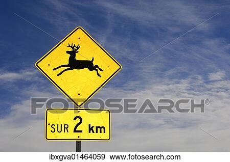 "Traffic sign, beware of moose, in French, Quebec, Canada, North America" View Large Photo Image Stock Photo - "Traffic sign, beware of moose, in French, Quebec, Canada, North America". Fotosearch