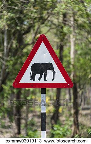 Stock Image - "Traffic signs, warning of crossing elephants, Nagarhole National Park, Karnataka, India, Asia". Fotosearch