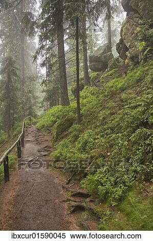Stock Photography - "Trail between Obere Schleuse and Hermannseck, Saxon Switzerland, Elbsandsteingebirge Elbe Sandstone Mountains, Saxony, Germany, Europe". Fotosearch