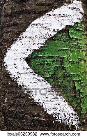 Trail marker painted on a tree trunk View Large Photo Image Stock Image - Trail marker painted on a tree trunk. Fotosearch