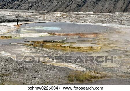 "Trail Springs, Main Terrace, Mammoth Hot Springs, Yellowstone National Park, Wyoming, USA" View Large Photo Image Stock Photo - "Trail Springs, Main Terrace, Mammoth Hot Springs, Yellowstone National Park, Wyoming, USA". Fotosearch