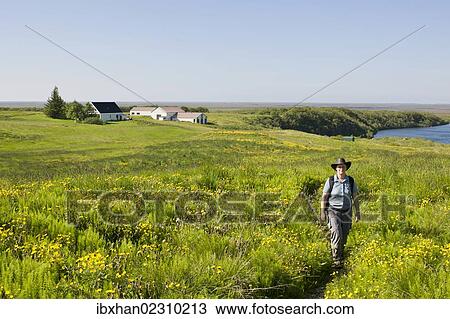"Trail through tall grass, Joekulsargljufur National Park, Iceland, Europe" View Large Photo Image Stock Image - "Trail through tall grass, Joekulsargljufur National Park, Iceland, Europe". Fotosearch
