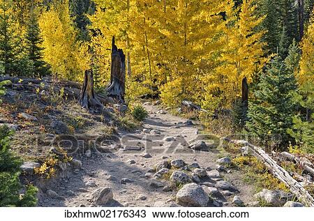 "Trail to Ouzel Falls, Wild Basin, Rocky Mountains National Park, Colorado, USA" View Large Photo Image Stock Image - "Trail to Ouzel Falls, Wild Basin, Rocky Mountains National Park, Colorado, USA". Fotosearch