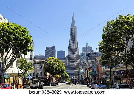 "Transamerica Pyramid and Columbus Avenue, San Francisco, California, USA" View Large Photo Image Stock Photo - "Transamerica Pyramid and Columbus Avenue, San Francisco, California, USA". Fotosearch
