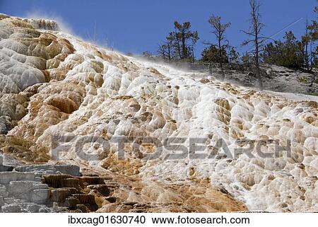 "Travertine terraces, Mammoth Hot Springs, Yellowstone National Park, Wyoming, USA" View Large Photo Image Stock Image - "Travertine terraces, Mammoth Hot Springs, Yellowstone National Park, Wyoming, USA". Fotosearch