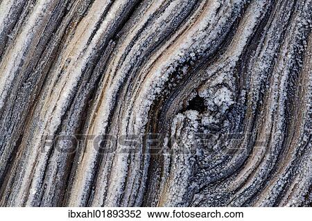 "Tree bark covered in frost, Utah, USA" View Large Photo Image Stock Image - "Tree bark covered in frost, Utah, USA". Fotosearch