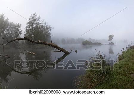 "Tree in fog in the backwaters of the Danube River, Stepperg, Bavaria, Germany, Europe" View Large Photo Image Stock Photo - "Tree in fog in the backwaters of the Danube River, Stepperg, Bavaria, Germany, Europe". Fotosearch