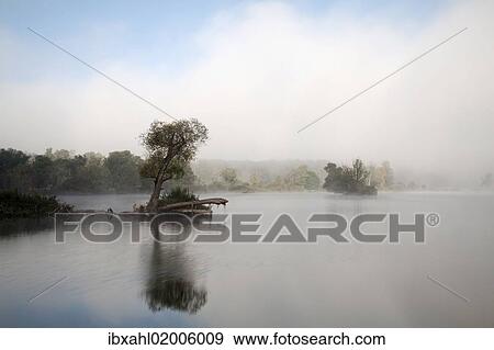 "Tree in fog in the backwaters of the Danube River, Stepperg, Bavaria, Germany, Europe" View Large Photo Image Stock Photo - "Tree in fog in the backwaters of the Danube River, Stepperg, Bavaria, Germany, Europe". Fotosearch