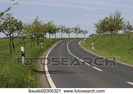 "Tree-lined country road in Taunus, Hesse, Germany, Europe" View Large Photo Image Stock Image - "Tree-lined country road in Taunus, Hesse, Germany, Europe". Fotosearch