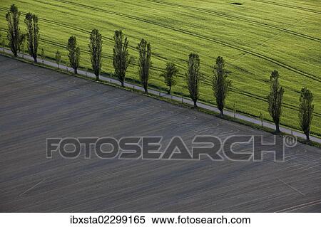 "Tree-lined road in the Elbe Sandstone Mountains, Saxony, Germany, Europe" View Large Photo Image Stock Photography - "Tree-lined road in the Elbe Sandstone Mountains, Saxony, Germany, Europe". Fotosearch