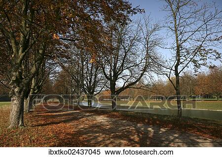 "Tree-lined walk, autumn in the recreation area at Decksteiner Weiher lake, Cologne, North Rhine-Westphalia, Germany, Europe" View Large Photo Image Stock Photography - "Tree-lined walk, autumn in the recreation area at Decksteiner Weiher lake, Cologne, North Rhine-Westphalia, Germany, Europe". Fotosearch