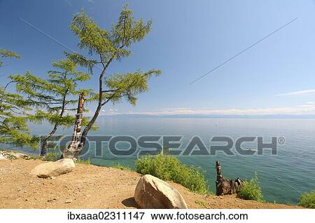 "Tree of desires, settlement of Listvyanka, Lake Baikal, Irkutsk region, Siberia, Russian Federation, Eurasia" View Large Photo Image Stock Photo - "Tree of desires, settlement of Listvyanka, Lake Baikal, Irkutsk region, Siberia, Russian Federation, Eurasia". Fotosearch