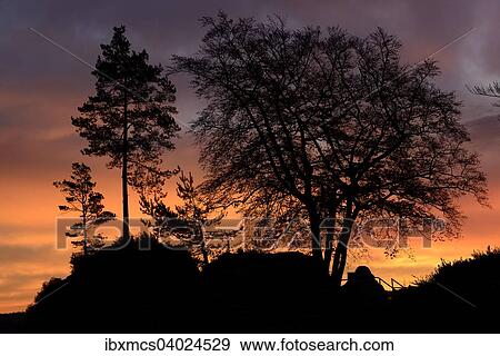 "Trees at sunrise on the Basteibrucke, Saxon Switzerland National Park, Lohmen, Saxony, Germany, Europe" View Large Photo Image Stock Photo - "Trees at sunrise on the Basteibrucke, Saxon Switzerland National Park, Lohmen, Saxony, Germany, Europe". Fotosearch