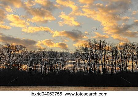 "Trees in backlight at a quarry pond, morning sky, Lower Rhine, North Rhine-Westphalia, Germany, Europe" View Large Photo Image Stock Photography - "Trees in backlight at a quarry pond, morning sky, Lower Rhine, North Rhine-Westphalia, Germany, Europe". Fotosearch