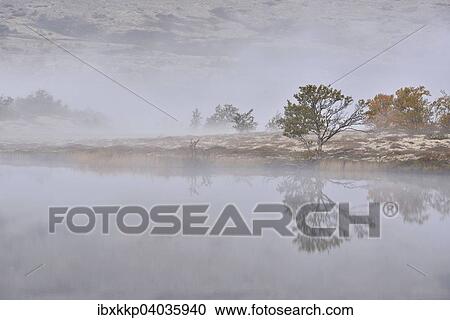 "Trees in morning mist at Lake Doralstjornin or Doralstjornin, Rondane National Park, Norway, Europe" View Large Photo Image Stock Image - "Trees in morning mist at Lake Doralstjornin or Doralstjornin, Rondane National Park, Norway, Europe". Fotosearch