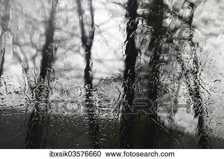 "Trees in rainy weather, seen through a windscreen, Pforzheim, Baden-Wurttemberg, Germany, Europe" View Large Photo Image Stock Image - "Trees in rainy weather, seen through a windscreen, Pforzheim, Baden-Wurttemberg, Germany, Europe". Fotosearch