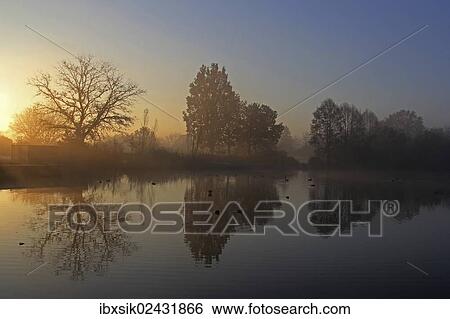 "Trees on a pond at sunrise, early morning in November, Mittelberg, Biberach a. d. Riss, Upper Swabia, Baden-Wuerttemberg, Germany, Europe" View Large Photo Image Stock Photograph - "Trees on a pond at sunrise, early morning in November, Mittelberg, Biberach a. d. Riss, Upper Swabia, Baden-Wuerttemberg, Germany, Europe". Fotosearch