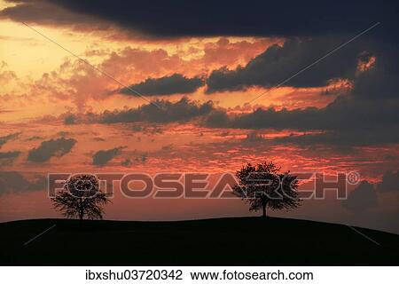 Stock Image - "Trees silhouetted against a sky full of storm clouds, Hirzel, Canton of Zurich, Switzerland, Europe". Fotosearch